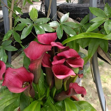 Recanati Family Ngoại thất bức ảnh