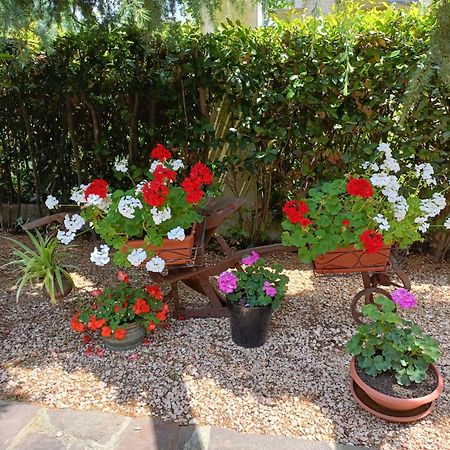 Recanati Family Ngoại thất bức ảnh
