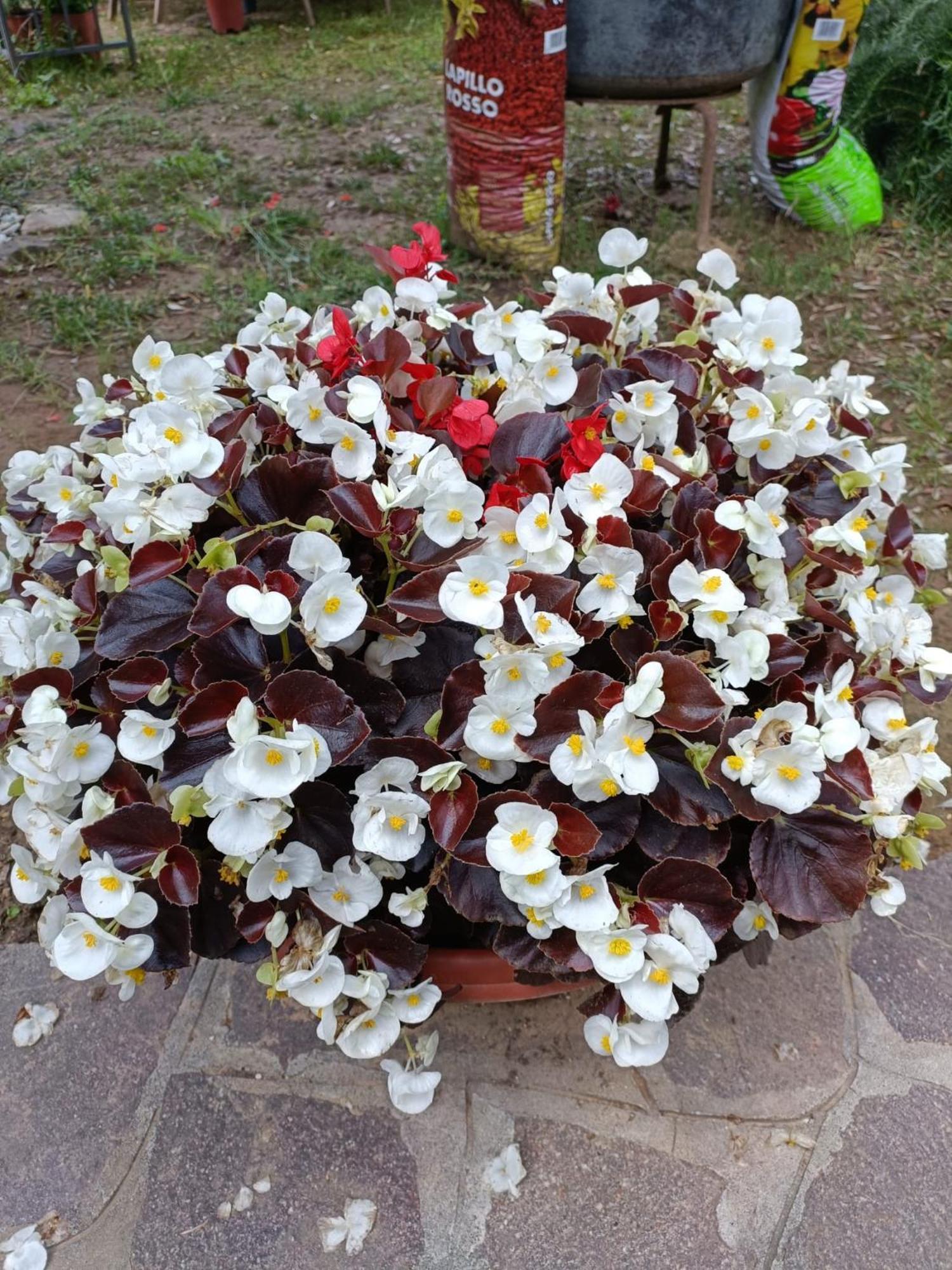 Recanati Family Ngoại thất bức ảnh