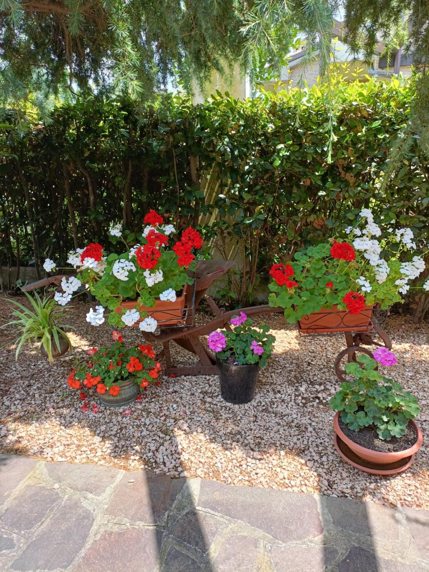 Recanati Family Ngoại thất bức ảnh